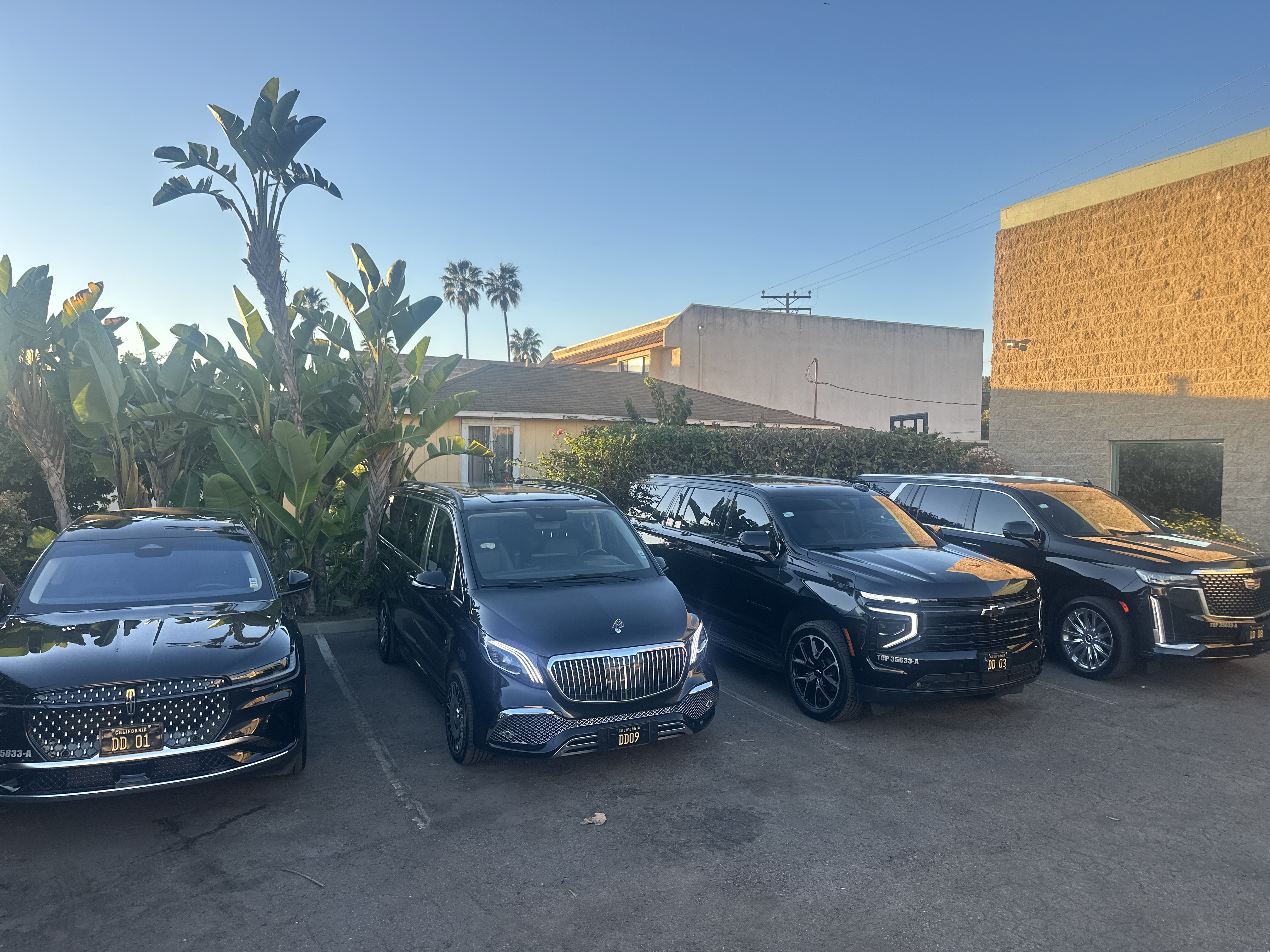 EXCLUSIVE (CEO) Van - Maybach